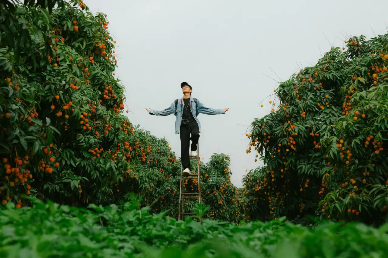 建筑通风与消防排烟系统中离心风机选型要点分析