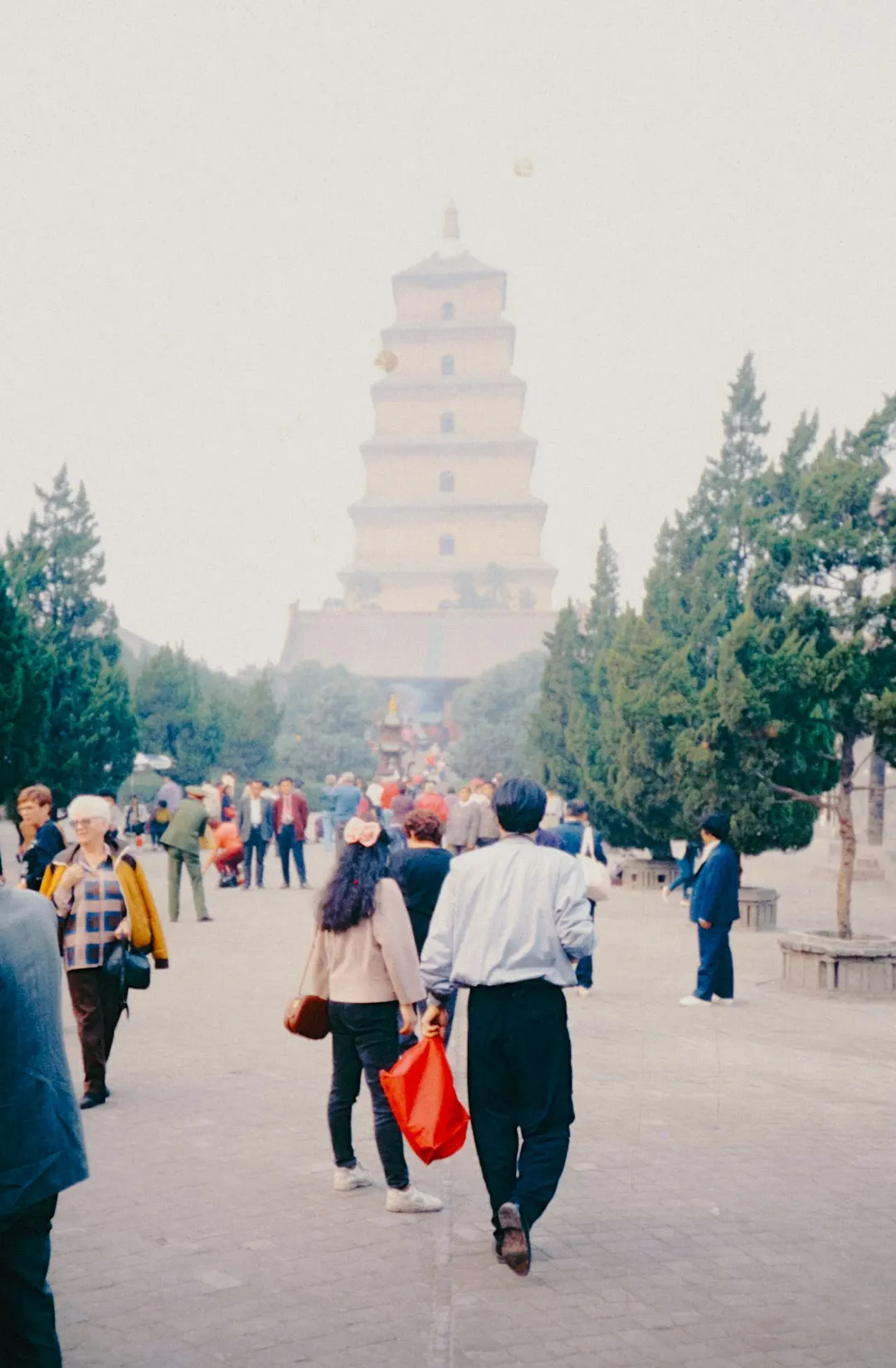 离心风机与轴流风机在工业通风场景中的性能差异及选型对比
